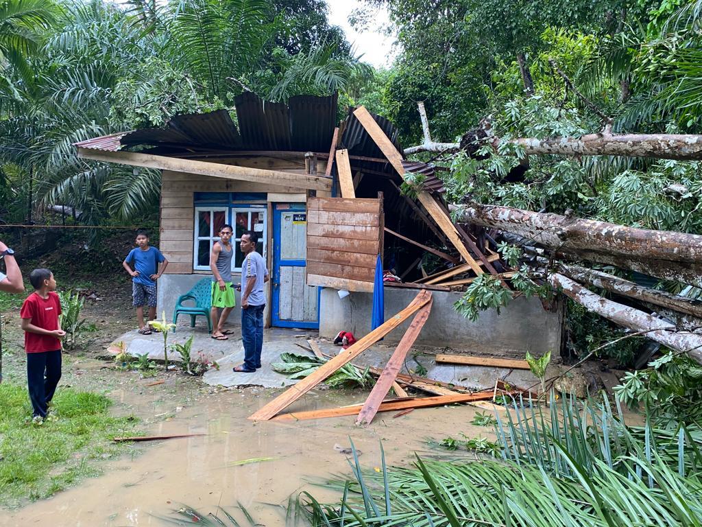 FOTO : rumah rusak tertimpa pohon di Aceh Timur