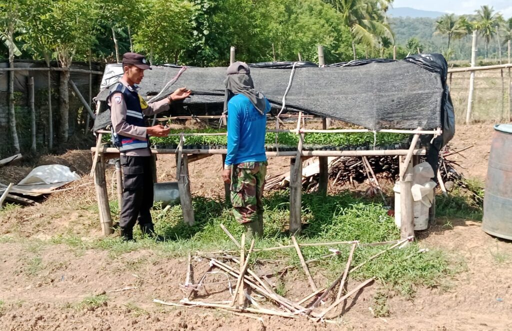 Bhabinkamtibmas Polsek Glumpang Tiga, Bripka Muhajir saat memberi penyuluhan kepada petani. (FOTO : Istimewa)