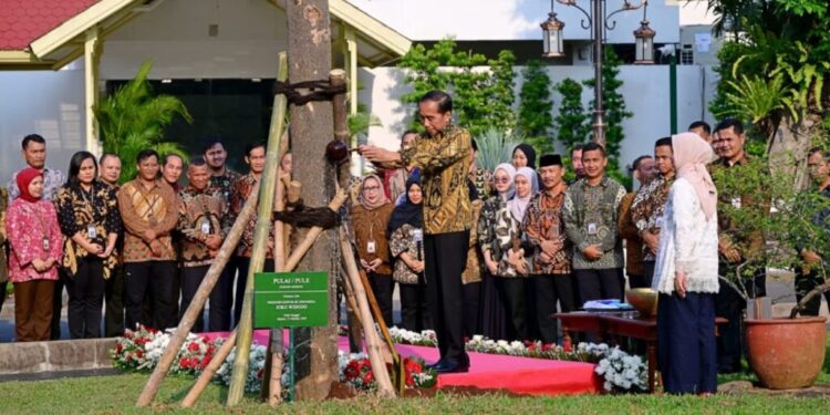 Foto : Presiden Joko Widodo bersama Ibu Iriana Joko Widodo, melaksanakan kegiatan penanaman pohon di halaman tengah Istana Kepresidenan Jakarta, pada Kamis sore, 17 Oktober 2024. Foto: BPMI Setpres/Muchlis Jr